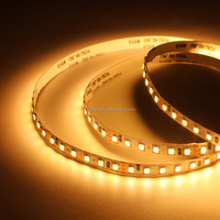Bande LED CCT 2835 2-en-1 24V 8mm 120 LED/m, éclairage en bande LED à température de couleur 2700K-6500K, double lumière blanche