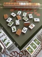 Tuiles de Mahjong américaines Western Desert avec motifs de cactus, de chapeaux de cowboy et de plantes, dos à 2 couches avec une finition scintillante discrète