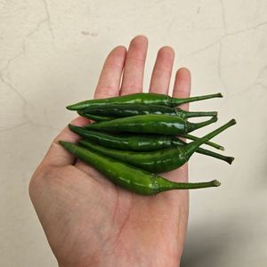 Venta caliente de chiles verdes frescos de alta calidad de Vietnam Especias individuales en piezas Procesamiento crudo Precio bajo Exportación - Product Image 5