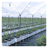 Fournisseur professionnel de serres australiennes pour serre agricole de myrtille fraise