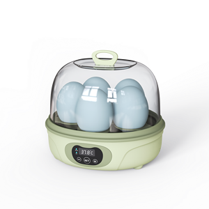 Attrezzatura Didattica: Mini Incubatrice per 6 Uova in Vendita - Product Image 2