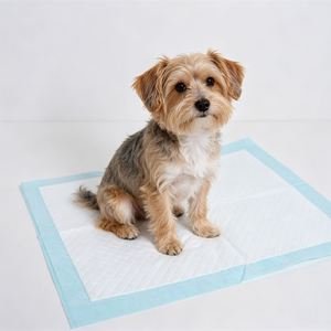 Tapis absorbant pour animaux de compagnie 30"x 36" – Protège-matelas jetable imperméable pour chiots et chats – Idéal pour l'apprentissage de la propreté des chiens - Product Image 1