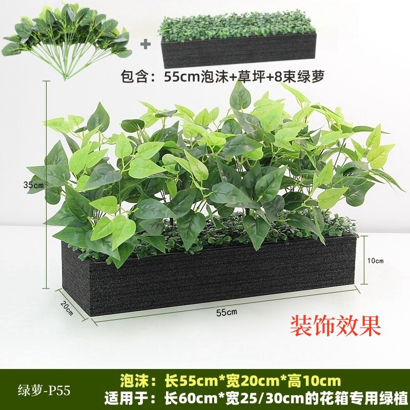Le lierre vert P55 convient aux jardinières de 60 cm