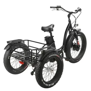 Tricycle électrique à trois roues avec gros panier, moteur puissant, gros panier, livraison gratuite