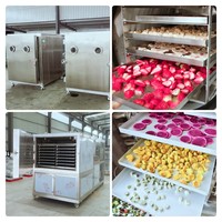 Tek PLC-gestuurde 1M2 laboratoriumvriesdroger met koudeval 2m2 kleine schaal roestvrijstalen pilot-vriesdroogapparatuur voor vacuümgebruik
