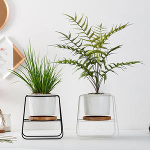 Paquete de mango grande único Planta de simulación Hoja de helecho <span class=keywords><strong>Ricitos</strong></span> de oro artificiales Planta de goma blanda de helecho - Product Image 5