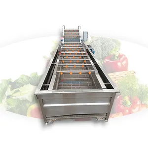 Fruit And Vegetable Cleaning Machine Avocado Mango Orange Apple Washing Machine Wash And Sorting Apples Equipment