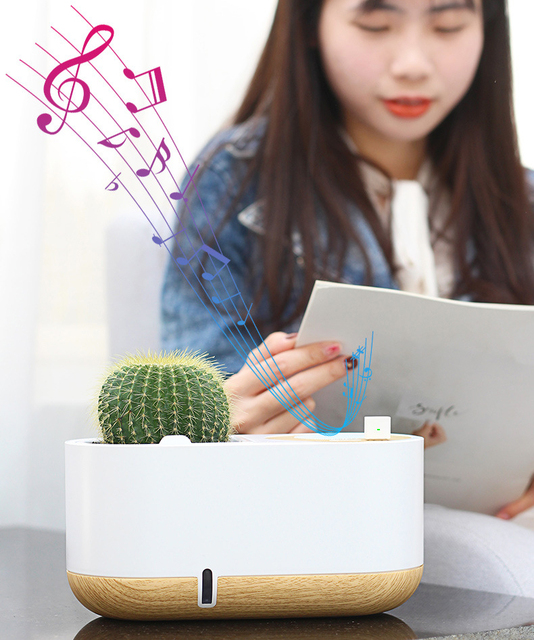Smart Modern Eco-Friendly Bluetooth Speaker and Lazy Self-watering Flower Pot for Home Use
