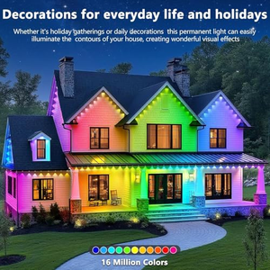 IP68 Outdoor Permanent Christmas <b>Holiday</b> Track <b>Lighting</b> 12v RGBW RGB Led Pixel Point Light 30mm Light - Product Image 5