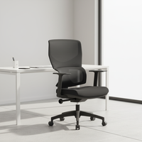 Chaise de bureau ergonomique moderne pivotante en maille avec support lombaire réglable, chaise de luxe grande taille, ensemble de mobilier en nylon
