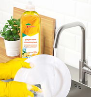 Rayshine Eco-friendly Kitchen Cleaning Supply Parfum de gingembre Détergent liquide pour vaisselle Détergent pour fruits en vrac 500 g