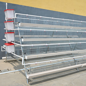 Jaula para gallinas ponedoras, jaulas de batería para avicultura, gallineros para gallinas ponedoras, jaulas para gallinas de granja, casa de cría de pollos - Product Image 4