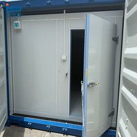 Chambre froide conteneurisée 380V 10 pieds à énergie solaire efficace avec unité de réfrigération TECUMSEH Emerson Copeland pour stockage hors réseau d'aliments et de vaccins