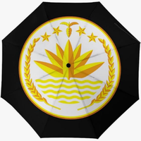 Parapluie entièrement automatique de haute qualité, imprimé du drapeau du Soudan, style national créatif, pour toutes les occasions de l'année