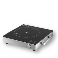 Kompor Gas Listrik 4 Tungku 30-Inci Terbaru, Stainless Steel, Tenaga Surya, Kontrol Aplikasi, 3500W, Rumah Tangga & Komersial