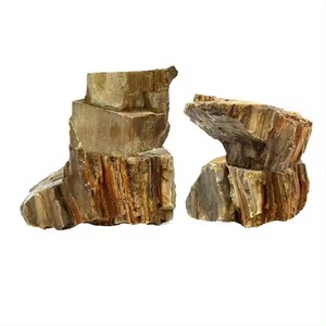 fossiles treibholz sortierte zweige bonsai aquarium natürliche treibholz-zubehör reptilien-dekoration ornament - Product Image 5