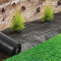 Toile de paillage anti-herbe en HDPE noir et vert de haute qualité, moulée par soufflage, avec service de découpe pour projets d'aménagement paysager et parterres de fleurs