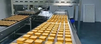 WANLI Nouvelle machine à démouler les gâteaux et pains personnalisable, équipement de boulangerie industriel multifonctionnel
