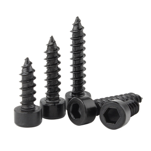 Vis autotaraudeuses à tête cylindrique SS304 (non moletées, pointe conique), M2-M6 - Product Image 2
