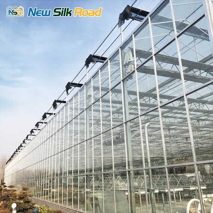 NSR Greenhouse Economical Multi-span Agricultural Glass Solar Greenhouses For Sale