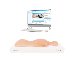 Maniquí Multifuncional <span class=keywords><strong>de</strong></span> Medio Cuerpo para Entrenamiento <span class=keywords><strong>de</strong></span> Medicina Tradicional China, Modelo <span class=keywords><strong>de</strong></span> Práctica <span class=keywords><strong>de</strong></span> <span class=keywords><strong>Acupuntura</strong></span>, Moxibustión, Ventosas, Gua Sha y Tui Na <span class=keywords><strong>de</strong></span> Silicona - Product Image 1