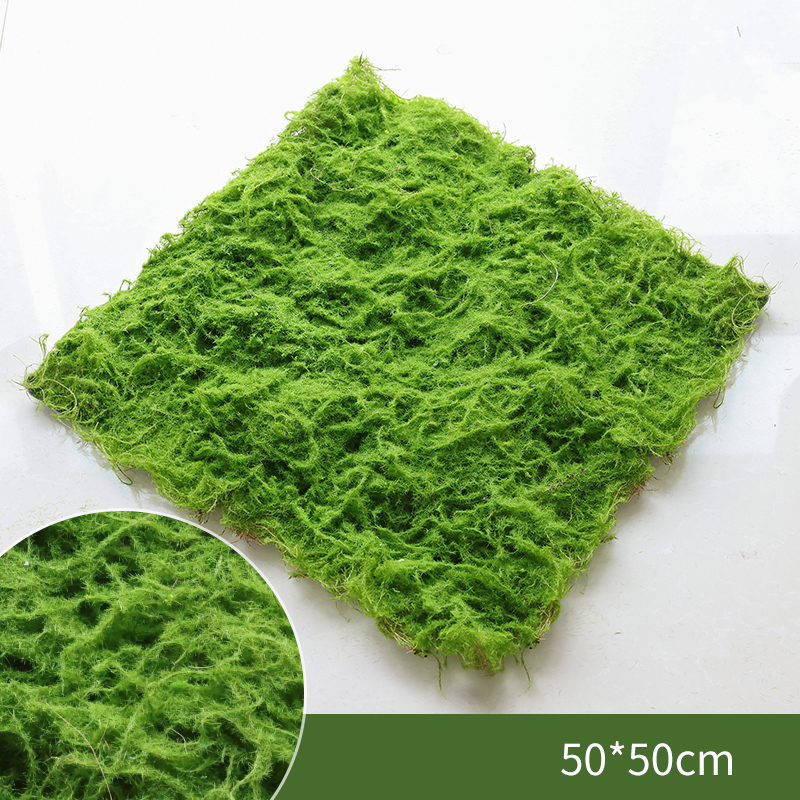 50*50cm