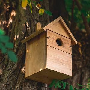 Massief Quadrate Bamboe Vogelhuisje & Nestkast 32Mm Gat Winddicht Huisdier Huis Voor Vogels - Product Image 3