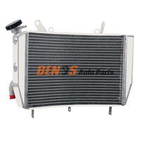 Radiateur de Course en Aluminium pour Yamaha YZF R6 2006-2011