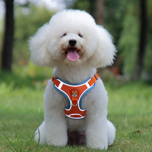 Arnés de Pecho para Perro, Chaleco Reflectante con Degradado Bonito, Arnés de Verano para Mascotas con Correa, Doble Correa Antitirones, Cuerda de Tracción de Seguridad para Perros - Product Image 1