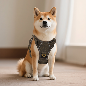 Arnés OEM personalizado para mascotas, juego de arnés para perros sin tirones, sarga acolchada de lujo, bolsa para tratar, collar, paquete de correa, bajo MOQ, suministro de fábrica - Product Image 3