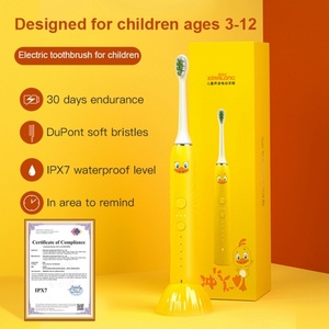 Home <b>Personal</b> Oral <b>Care</b> & <b>Beauty</b> <b>Appliances</b> Ultrasonic USB Rechargeable Toothbrush Electric Tooth Brush - Product Image 3
