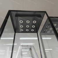 Vitrina de Exhibición de Cristal para Museo, con Marco Negro Mate y Pedestal, Kiosco con Matriz LED, Exhibidor de Joyería, Mueble Independiente para Relojes