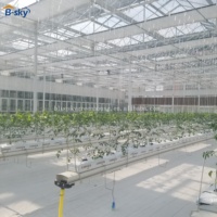 Invernadero Grande de Acero con Múltiples Tramos y Cubierta de Vidrio, de Bajo Costo y Alto Rendimiento para Agricultura Comercial y Proyectos de Exportación