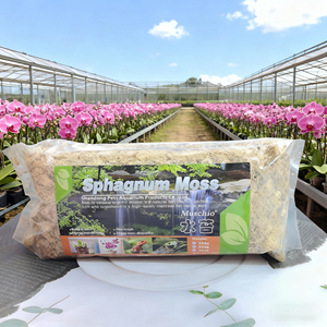 Musgo Sphagnum Ecológico <span class=keywords><strong>de</strong></span> Lujo Moderno para Decoración <span class=keywords><strong>de</strong></span> Bodas, Paredes Florales, Centros <span class=keywords><strong>de</strong></span> Mesa y Eventos al Aire Libre - Product Image 1