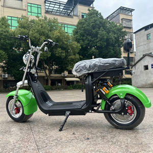 Scooter électrique Citycoco 2000W pour adultes - Batterie lithium 60V - Scooter à pneus larges - Scooter tout-terrain hors route avec homologation EEC/COC - Product Image 5