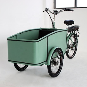Bicicleta Eléctrica retro de carga, de aluminio, de alta calidad, de 500w, Estilo vintage - Product Image 2