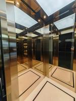 Ascenseur à traction sans engrenages : réduit le bruit, les coûts de maintenance, fonctionnement fluide. Design moderne et élégant en titane et acier inoxydable