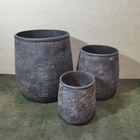 Macetas Grandes de Fibra de Cemento Estilo Europeo Vintage con Orificio de Drenaje para Jardinería y Uso Doméstico - Duraderas para Interiores/Exteriores Talladas a Mano 5L