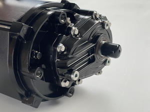 Moteur de karting 30KW 195N.M <span class=keywords><strong>à</strong></span> refroidissement liquide 48V-108V, moteur <span class=keywords><strong>à</strong></span> engrenages pour Dune Buggy, Go-Kart, VTT agricole, UTV, moto tout-terrain, moto de <span class=keywords><strong>course</strong></span>, Go-Kart - Product Image 2