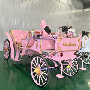 High-quality European Electric Two-<b>row</b> Sightseeing Horseless Carriage for Wedding and Tourism 4-6 Persons Steel Frame - Product Image 3