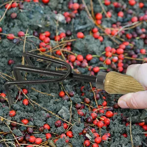 Di alta qualità in legno di frassino stine rastrello da giardino coltivatore a mano rastrello da giardino per diserbo allenta il terreno