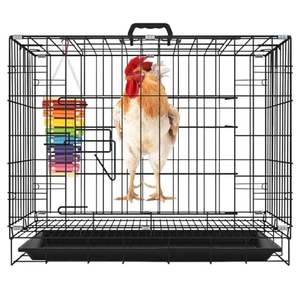 Oiseau Jouets Poulet Jouets Anneau Cloche <span class=keywords><strong>Piano</strong></span> 7 Tons Usine En Gros Perroquet Jouets Oiseau Fournitures - Product Image 3