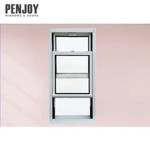 Pnoy 클래식 스타일 공장 가격 커스터마이징 알루미늄 이중 매달린 창