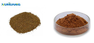 Extrait de graines de céleri de qualité alimentaire, rapport TLC pour les compléments alimentaires - Product Image 3