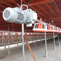 Système d'élevage avicole chinois pour poulets de chair et poules pondeuses, 1 an, faible coût, rendement élevé, équipement d'alimentation et d'abreuvement automatique pour volailles