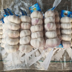 กระเทียมเดี่ยวสีขาวบริสุทธิ์สด6.0ซม. สำหรับอาหารราคาดีที่สุดในจีน - Product Image 5