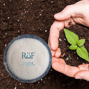Polyacrylate de potassium, polymère super absorbant pour l'amélioration des sols, l'économie d'eau et la croissance des plantes - Product Image 3