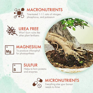 Hot Selling <strong>Slow</strong> <strong>Release</strong> Bonsai <strong>Food</strong> Long-Lasting Nutrition for Precious Bonsai Design for Garden Home or Desktop Decoration - Product Image 5