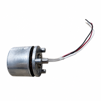 Moteur sans balais Hengyu BL2820W, cadre 28,5 mm, couple 25 mNm, étanche IP54, 4300 tr/min, 7,8 W, léger et compact, OEM/ODM pour Fascia