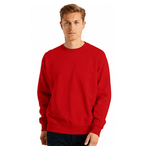 Sweat-shirt pour homme personnalisable, nouveau style, vente en gros, haute qualité, uni, basique, vêtements décontractés d'hiver, col rond, pour homme - Product Image 2